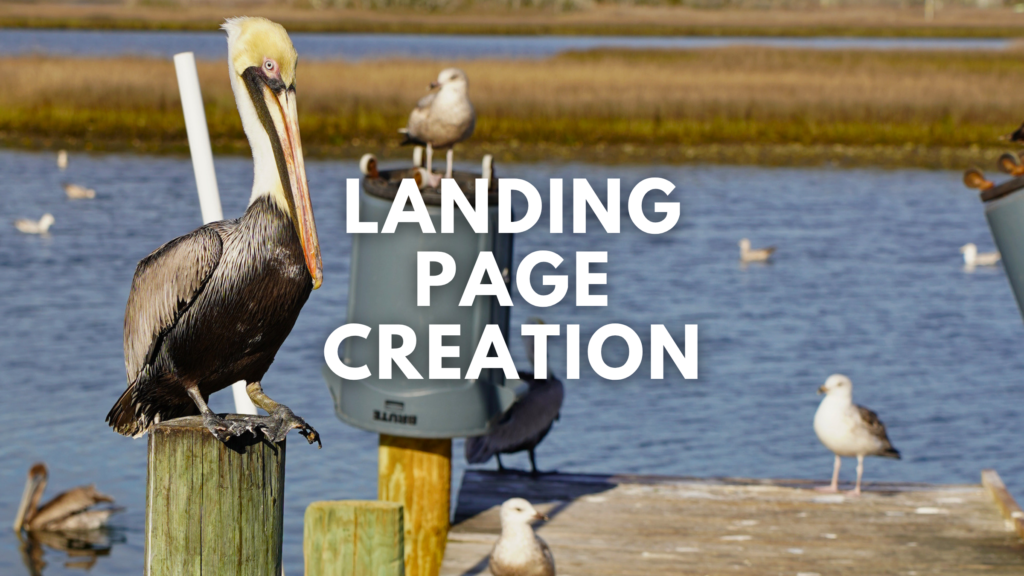 Landing Page Creation