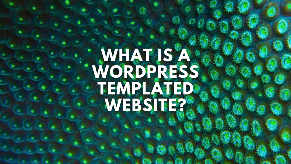What Is a WordPress Templated Website What Is a WordPress Templated Website?