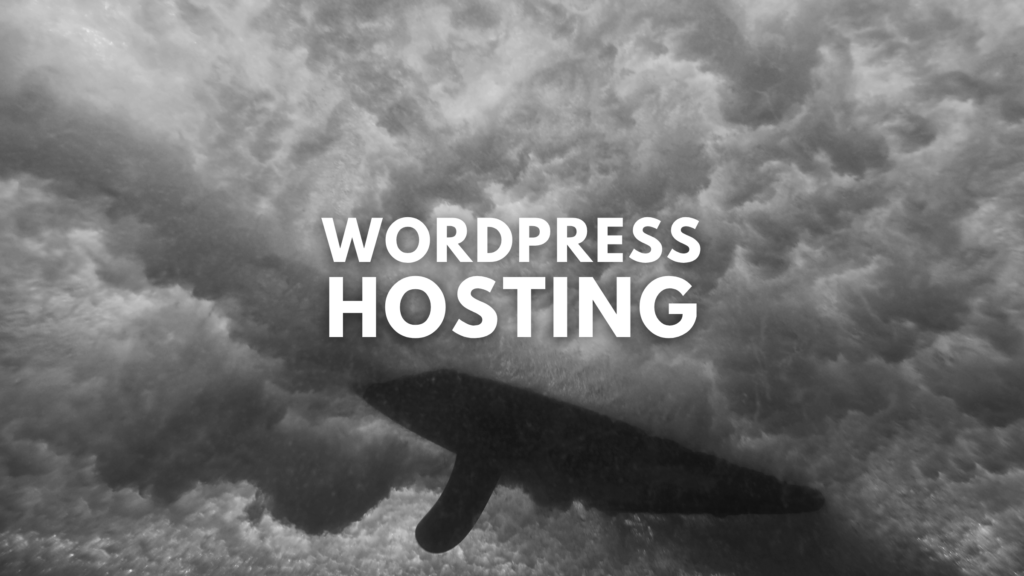 WordPress Hosting WordPress Hosting at Mad Pelican